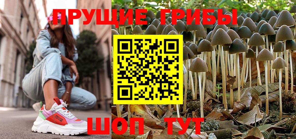 Псилоцибиновые грибы MAGIC MUSHROOMS  Вход с VPN  Богородицк  Псилоцибиновые грибы ЛСД 