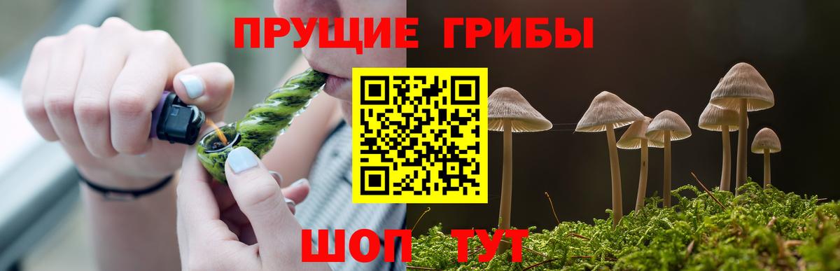 Галлюциногенные грибы мухоморы Богородицк